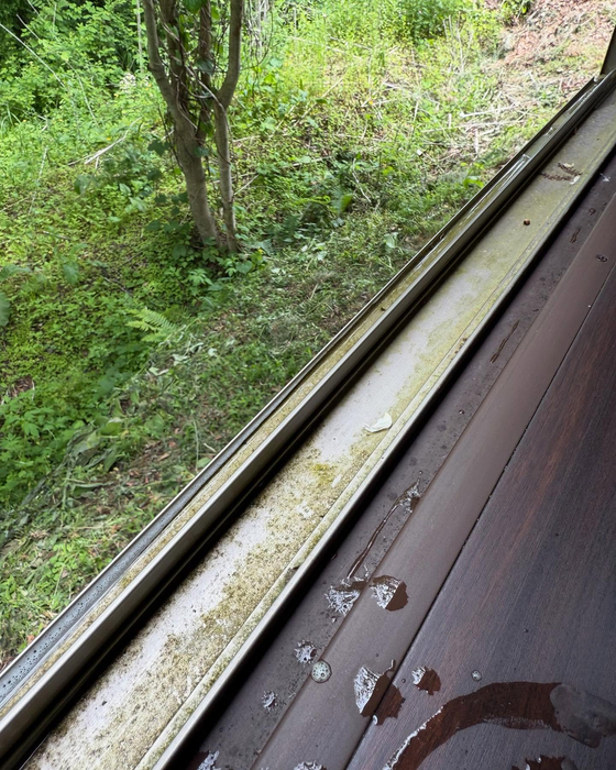 画像605